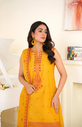 TXB-01-01-25 (Dream) 3PC - Tehzeeb Fashion