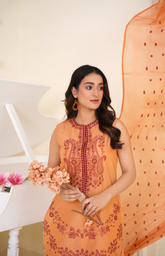 TXB-01-02-25 (Aashna) 3PC - Tehzeeb Fashion